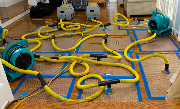 Professional Sewage Cleanup technician working in Leslie, MI
