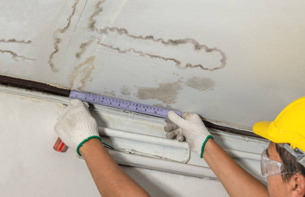 Affordable Water Damage Repair solutions in Leslie, MI